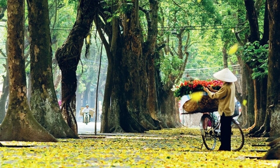 Thời tiết Bắc Ninh đêm 16, ngày 17/11: Nhiệt độ thấp nhất 16 độ